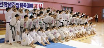 【写真特集】2014学年度 在日朝鮮学生中央体育大会